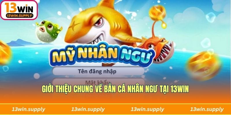Giới thiệu chung về Bắn cá nhân ngư tại 13win