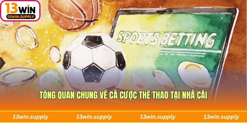 Tổng quan chung về cá cược thể thao tại nhà cái