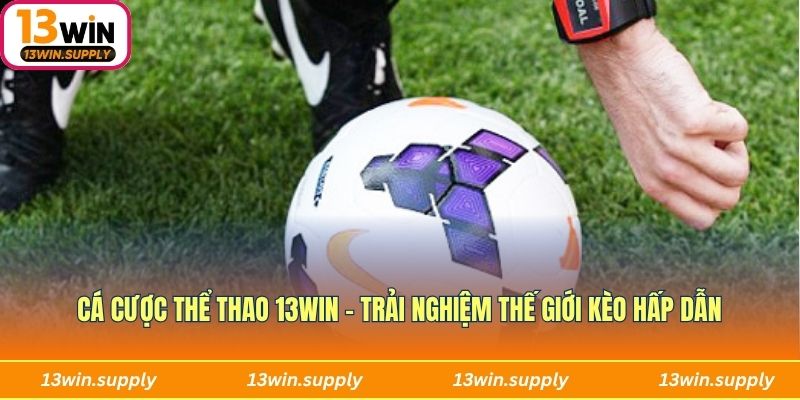 cá cược thể thao