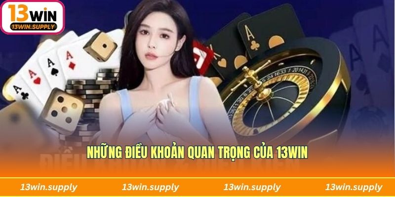 Những điều khoản quan trọng của 13Win