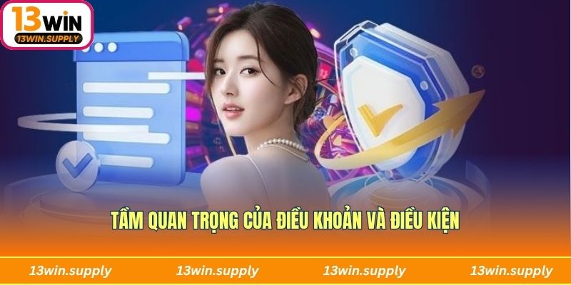 Sự quan trọng không thể thiếu của điều khoản và điều kiện