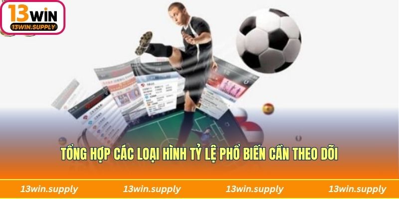 Tổng hợp các loại hình tỷ lệ phổ biến cần theo dõi